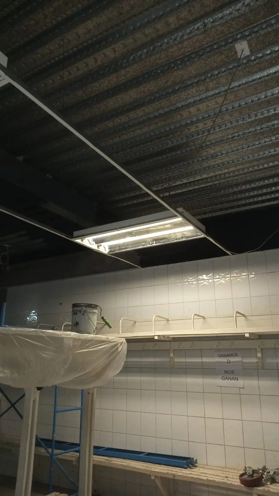 REMODELACIÓN DE BAÑOS ÁREA DE DEPORTES Arquitepro Construcción