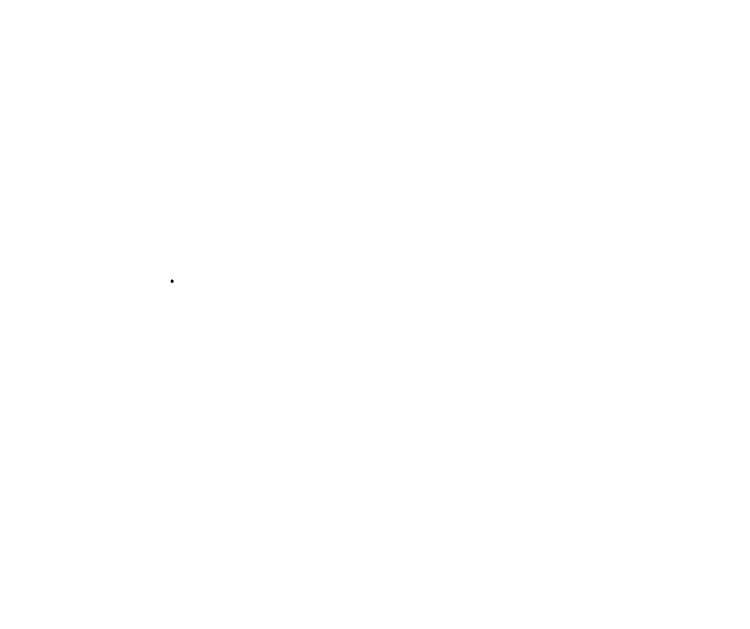 Maximizamos su Presupuesto