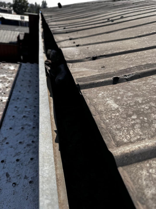 LIMPIEZA DE CANALETAS COLEGIO ROSARIO CONCHA