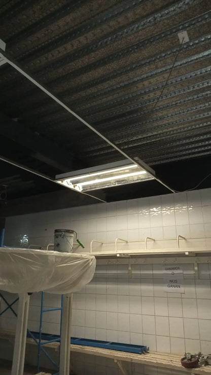 REMODELACIÓN DE BAÑOS ÁREA DE DEPORTES Arquitepro Construcción